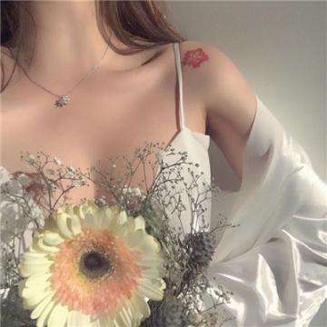 遵义县房产网截图